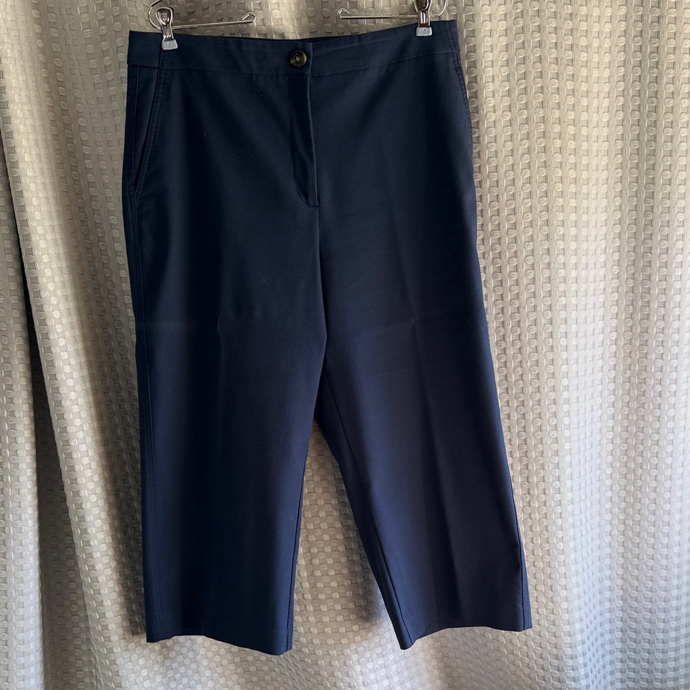 Ann Taylor Petite-Curvy Fit Navy Blue Pants